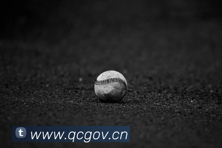 电子pg平台下载官网全站App